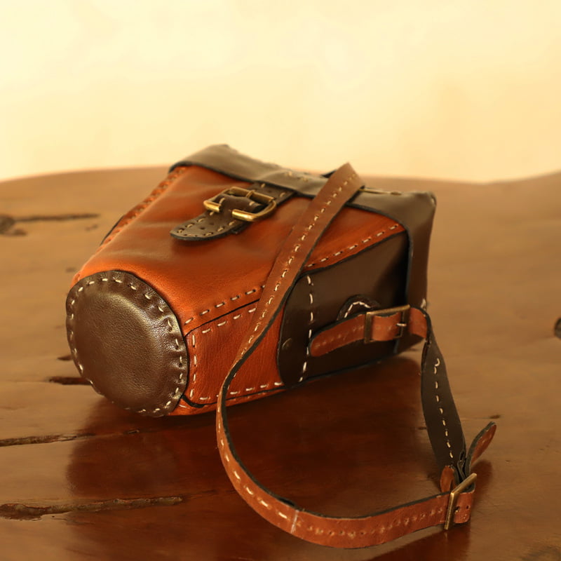 Camera Box leather handbag